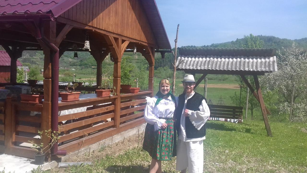 Pensiunea Popan Sieu  Экстерьер фото
