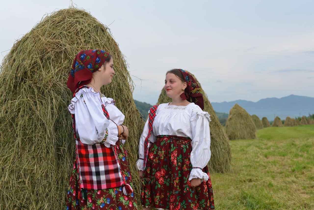 Pensiunea Popan Sieu  Экстерьер фото