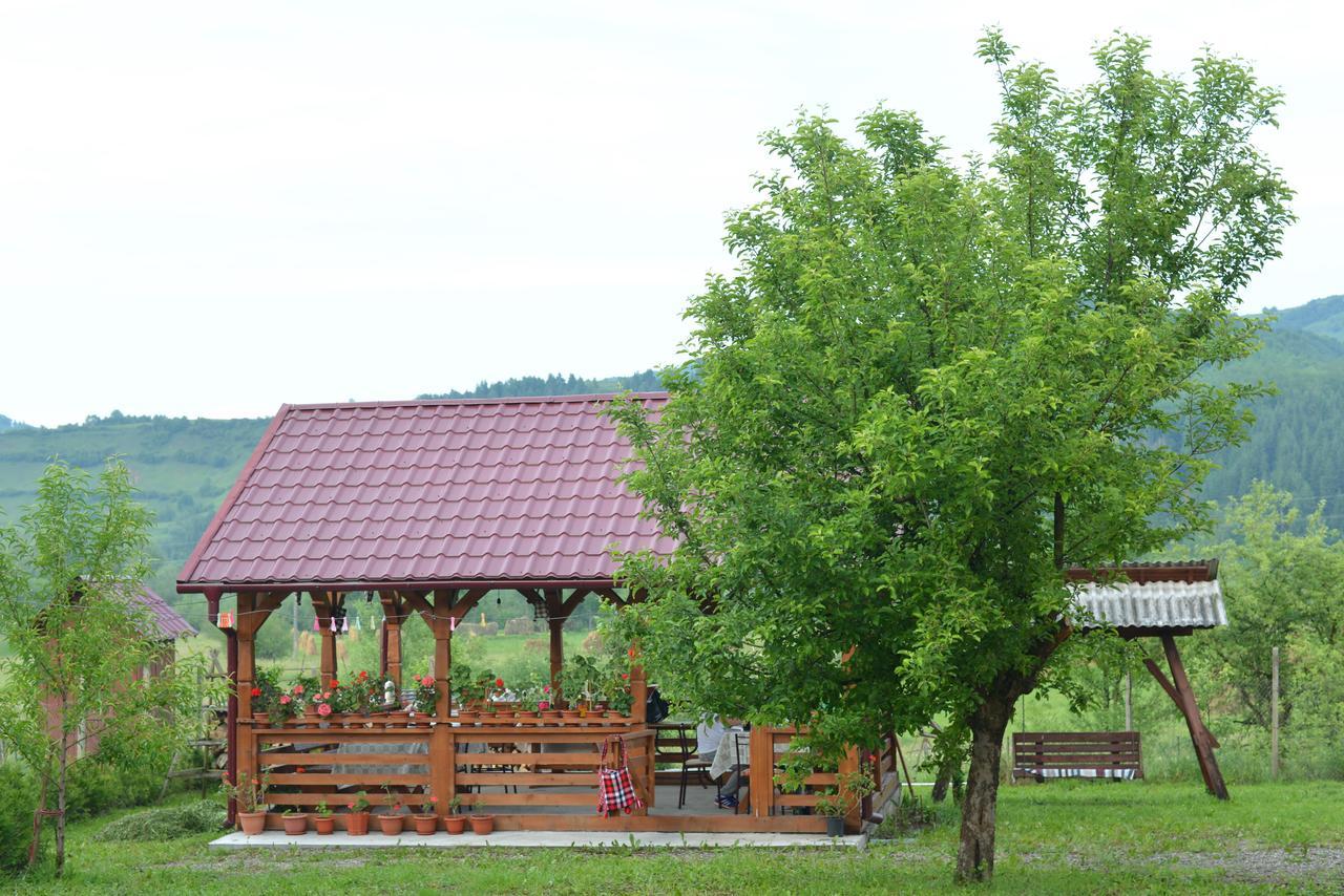 Pensiunea Popan Sieu  Экстерьер фото