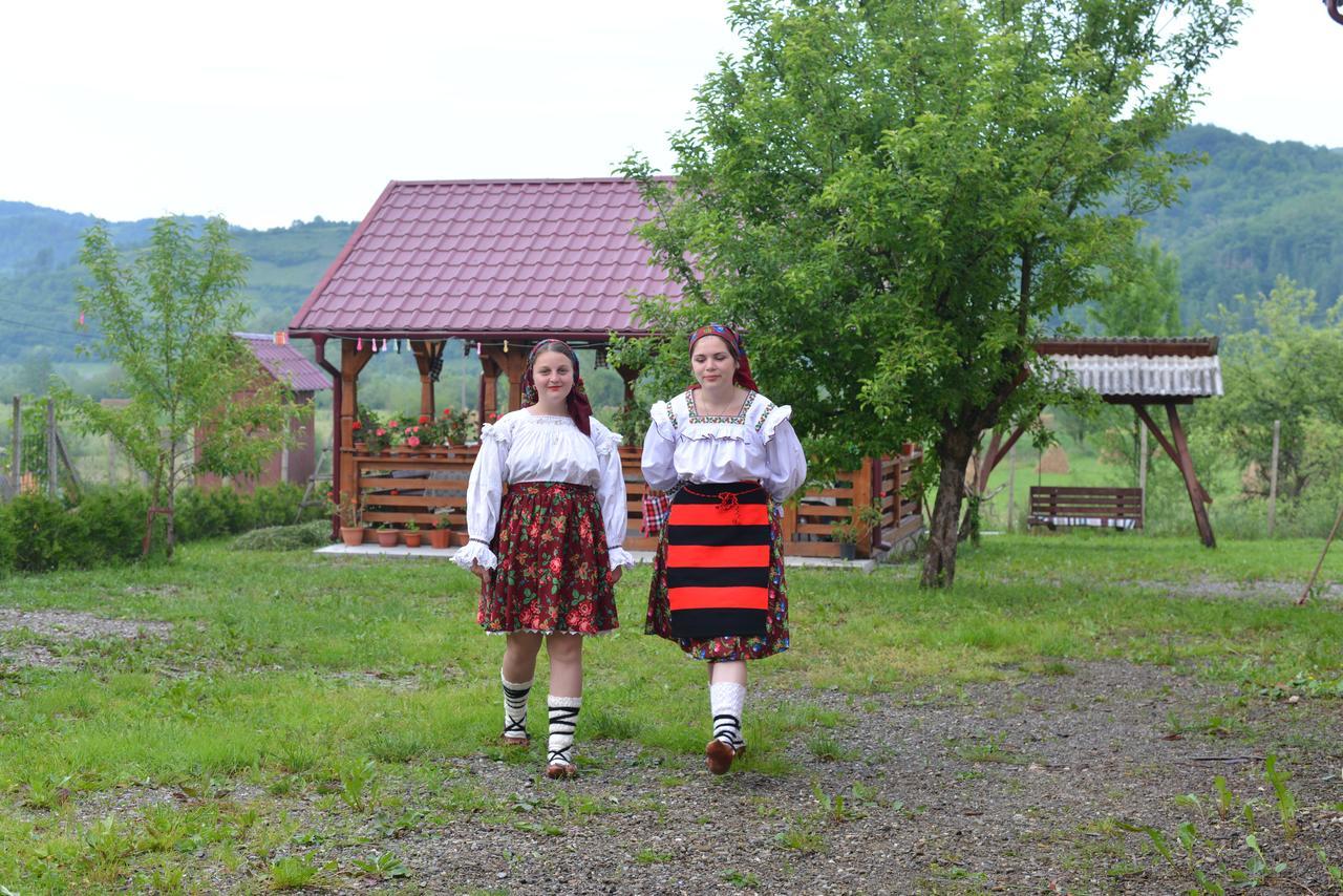 Pensiunea Popan Sieu  Экстерьер фото