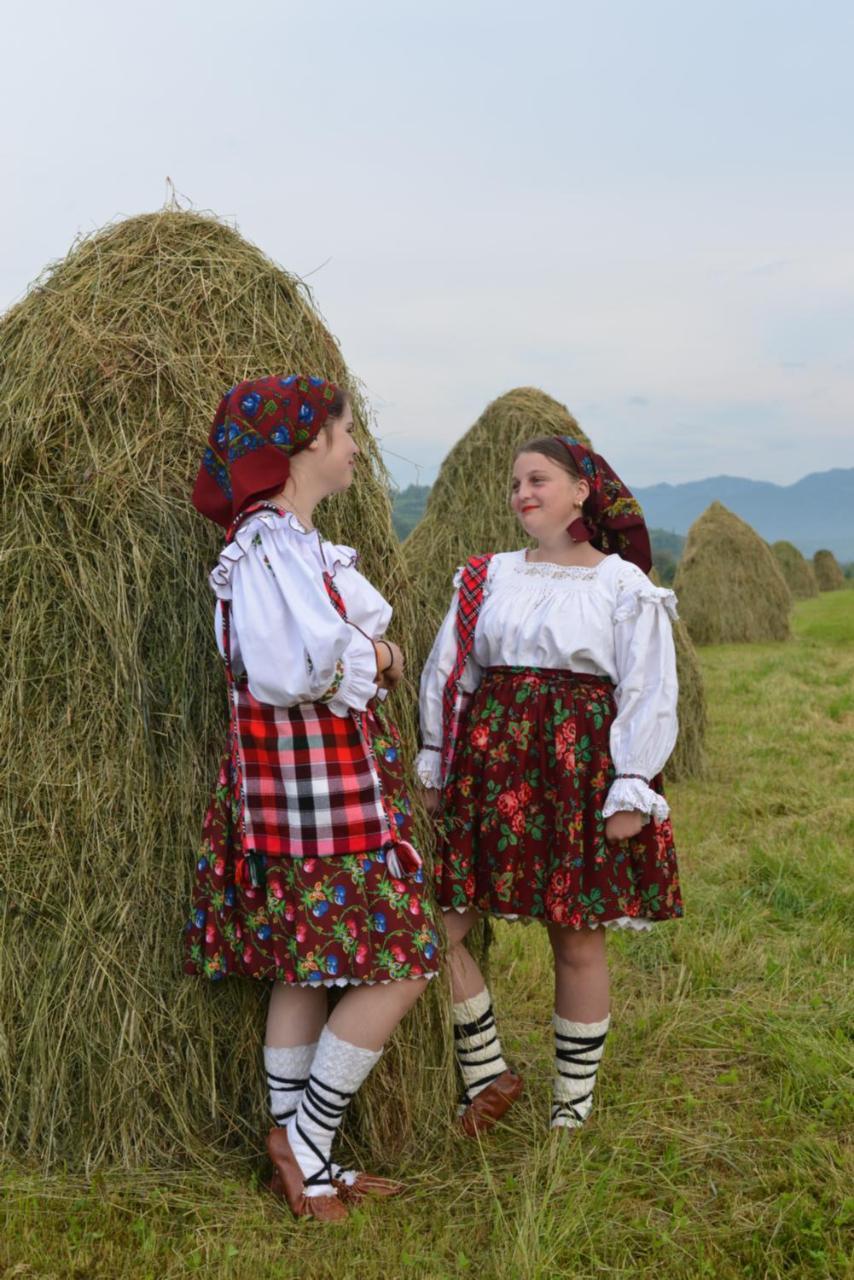 Pensiunea Popan Sieu  Экстерьер фото
